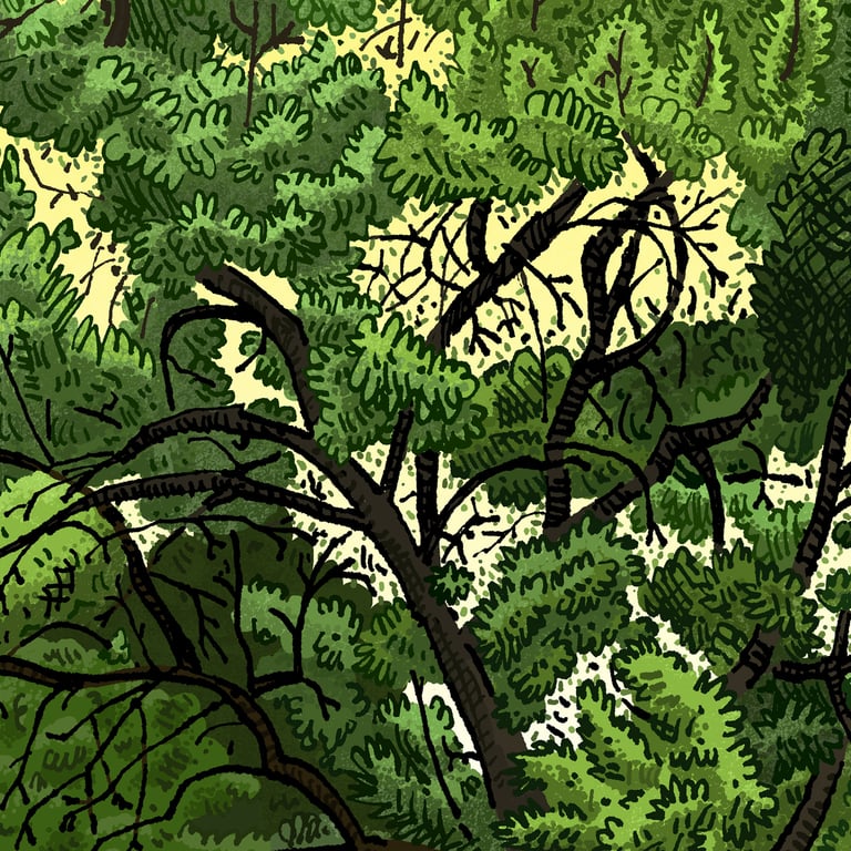 Red Hill, Golden Grove, digital Print Image 3