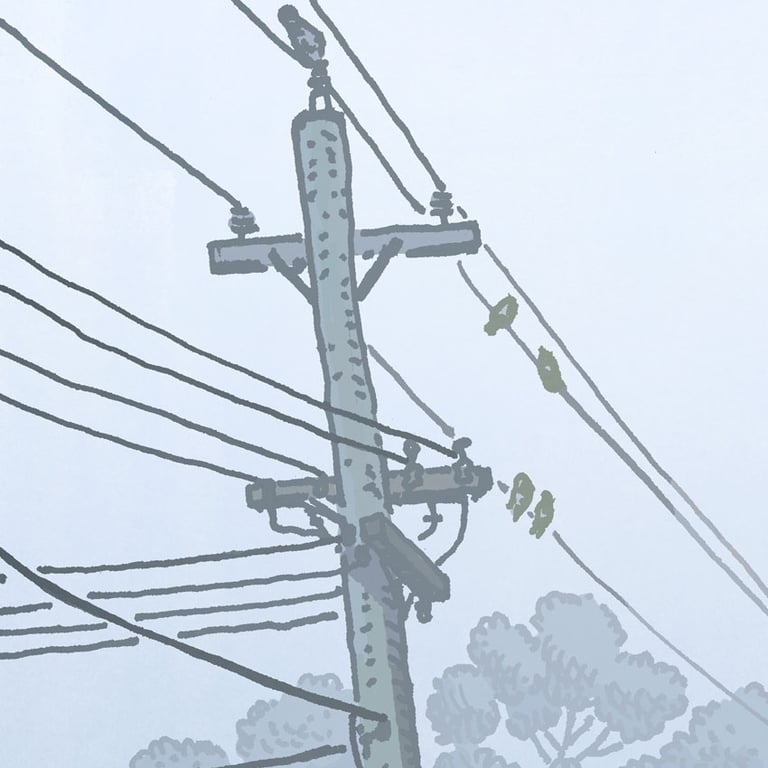 Kambah, Barritt Street, digital print Image 4