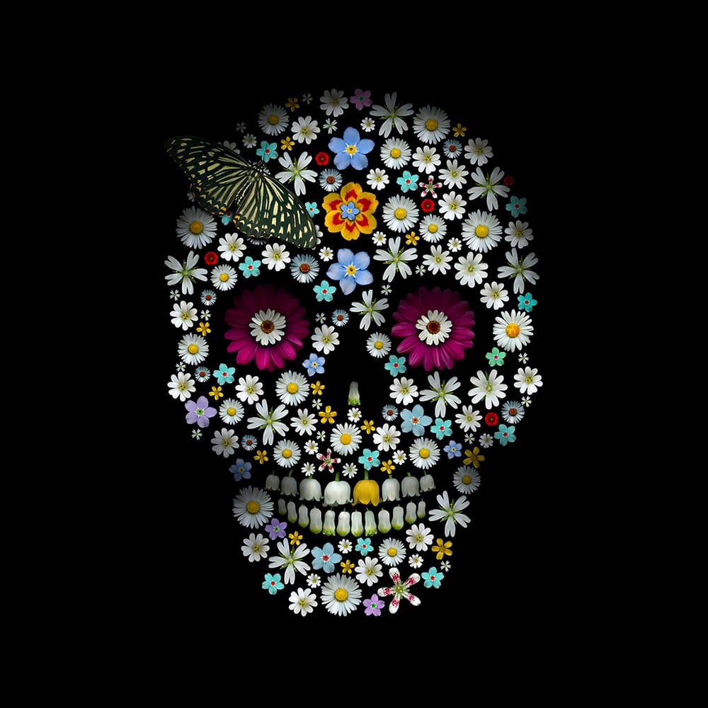 Flower Skulls - Chromaluxe graphic blending floral and skeletal elements