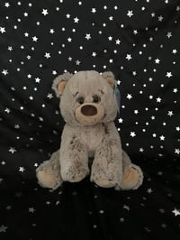 Image 1 of Memory Bear