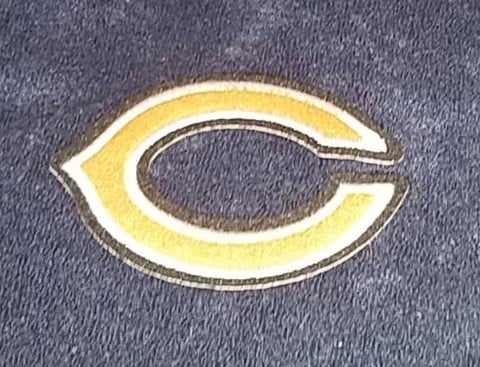 Image of Chicago Bears Themed Towel Shorts