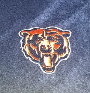 Image of Chicago Bears Themed Towel Shorts