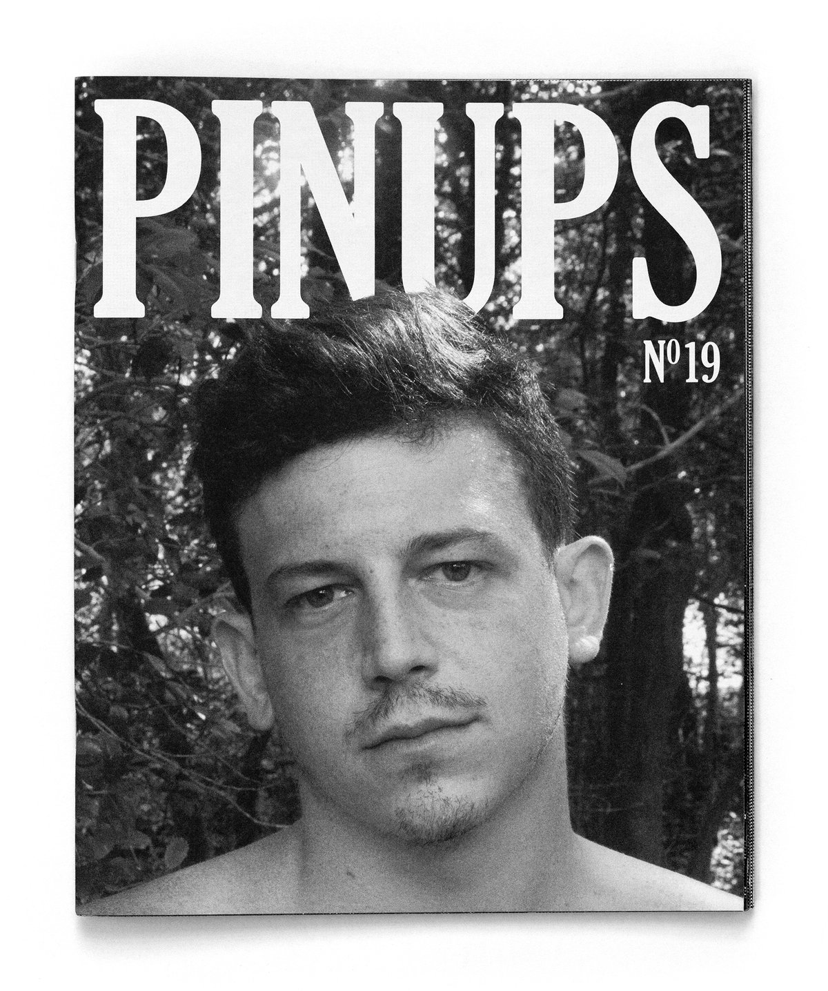 Image of Pinups Nº19