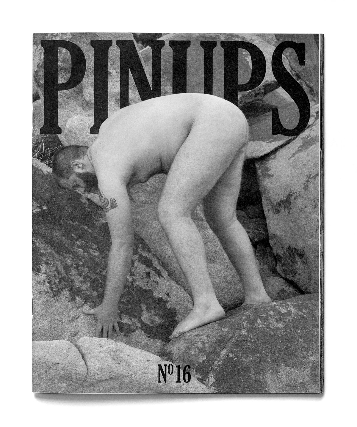 Image of Pinups Nº16