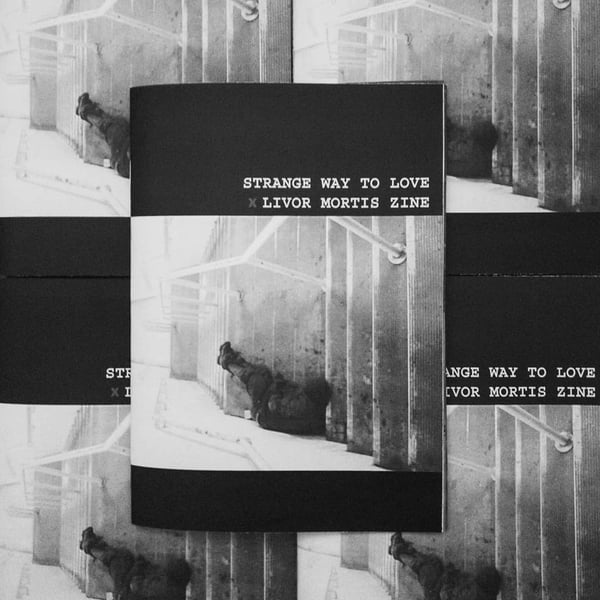 Image of Strange Way To Love x Livor Mortis Zine Collaboration 