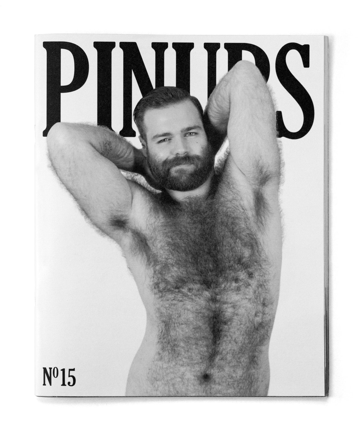 Image of Pinups Nº15