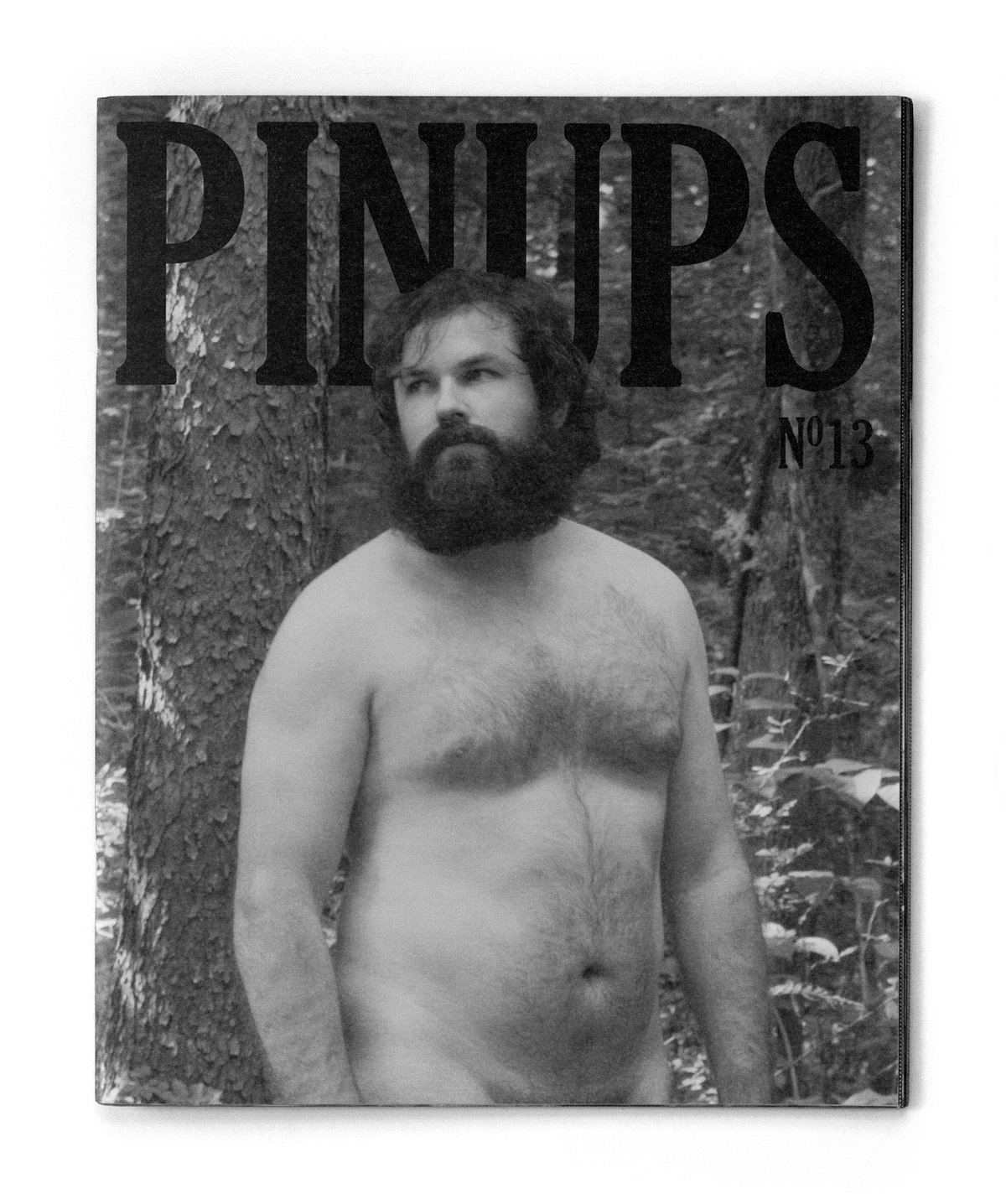 Image of Pinups Nº13