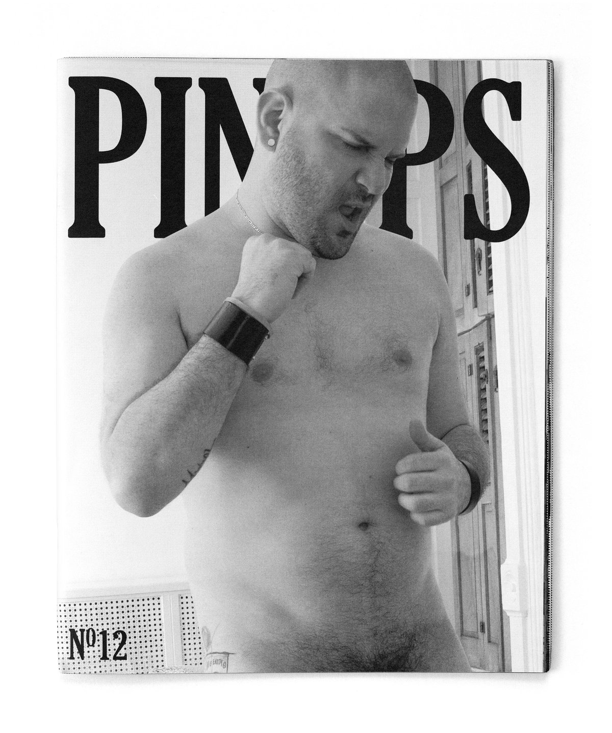 Pinups Magazine 