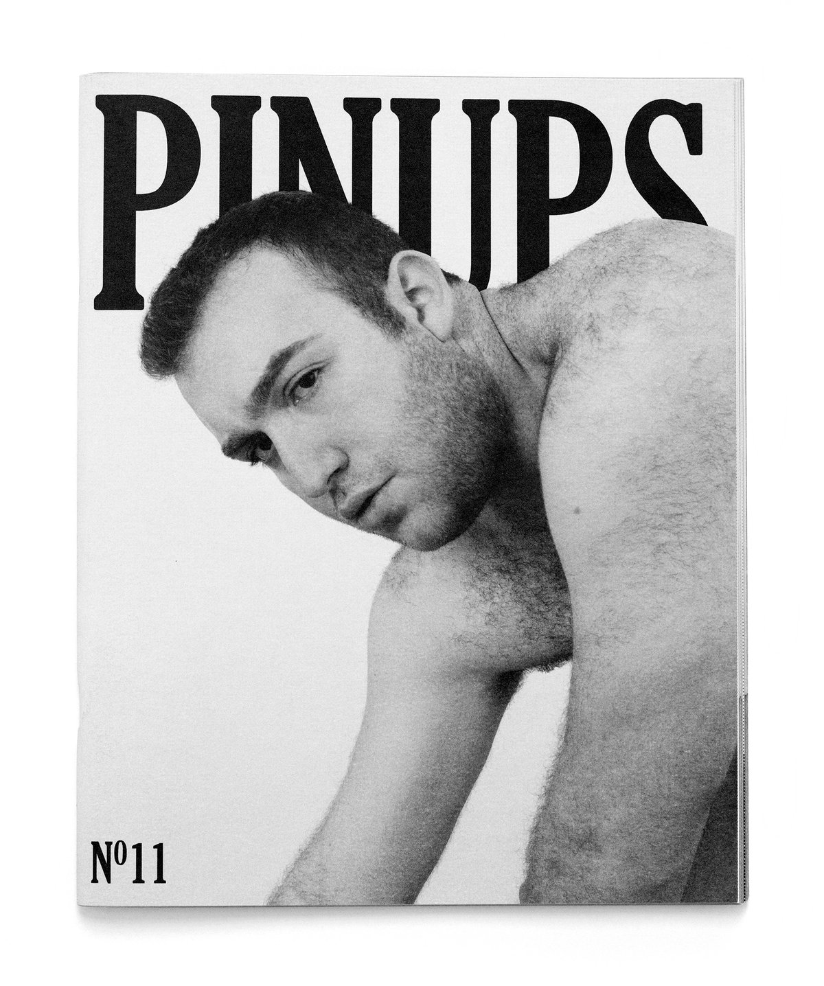 Image of Pinups Nº11