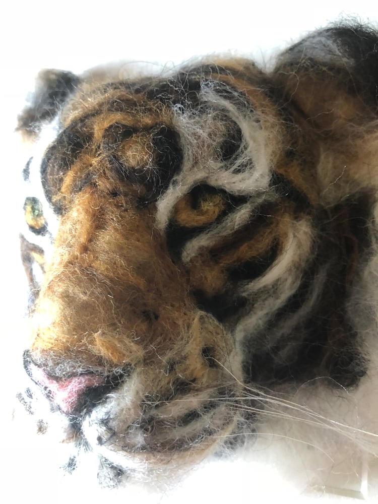 Image of My Bengal Tiger
