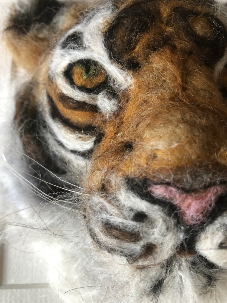 Image of My Bengal Tiger