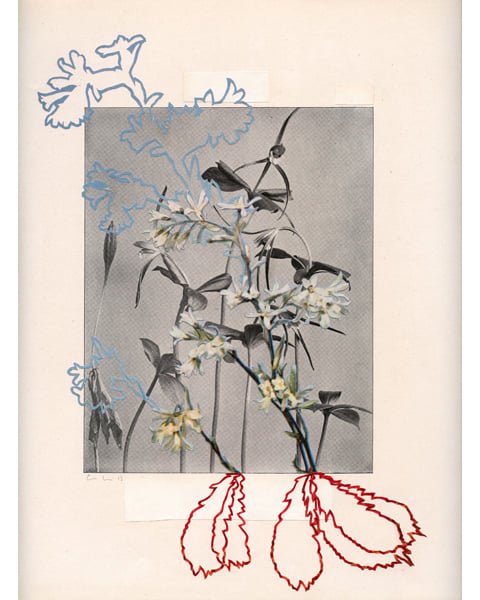 Image of Wild Flowers 77