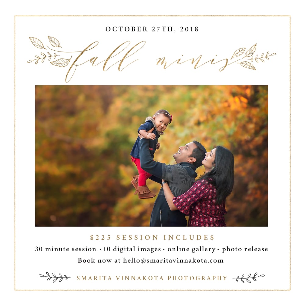 Image of Fall Mini Sessions