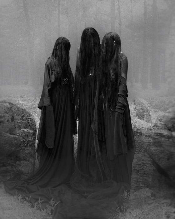 Image of Weeping haze