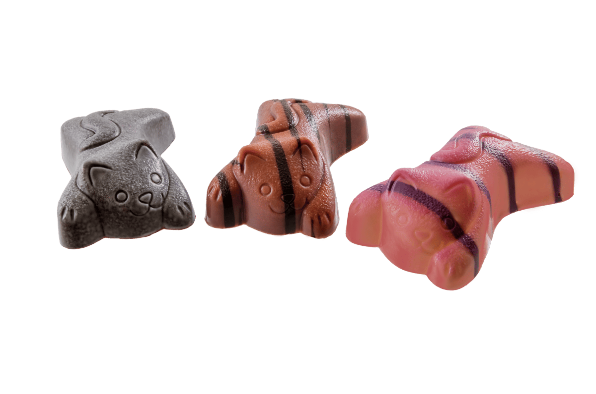 Ieperse Katjes — Ieperse Katjes Kittens (new 2018)