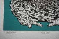 Image 3 of 'toad one' 