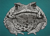 Image 2 of 'toad one' 