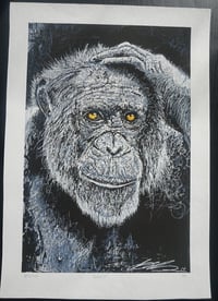 Image 2 of 'fourfort' 