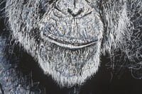 Image 4 of 'fourfort' 