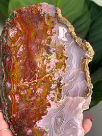 Image 3 of AGUA NUEVA AGATE SLAB D