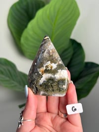 Image 7 of CHOOSE YOUR OWN SEA JASPER FLAME -MADAGASCAR-