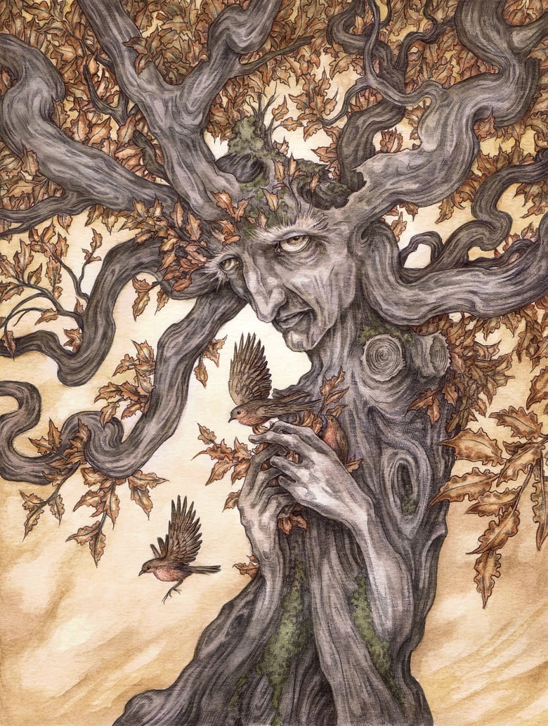 Image of 'Ask The Oak' by Adam Oehlers