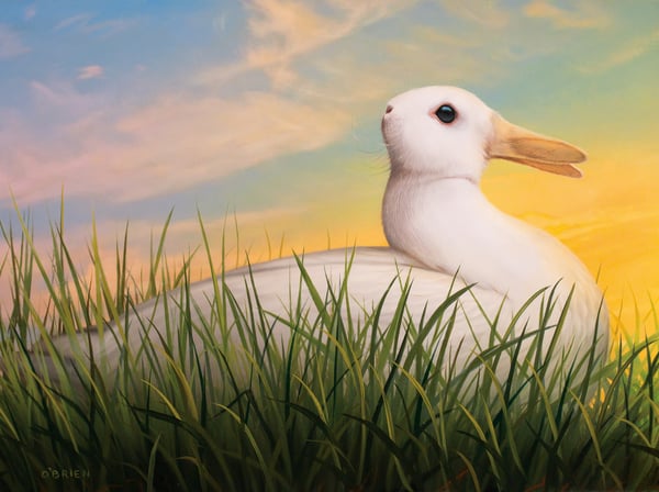 Image of 'Rabbit Duck' "14" X "11" archival print