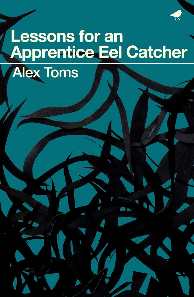 Image of Lessons for an Apprentice Eel Catcher 