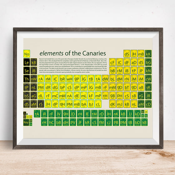 Image of Norwich City- elements of the Canaries