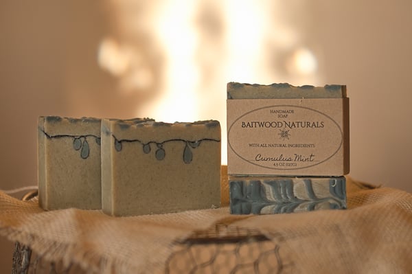 Image of Mint Soaps