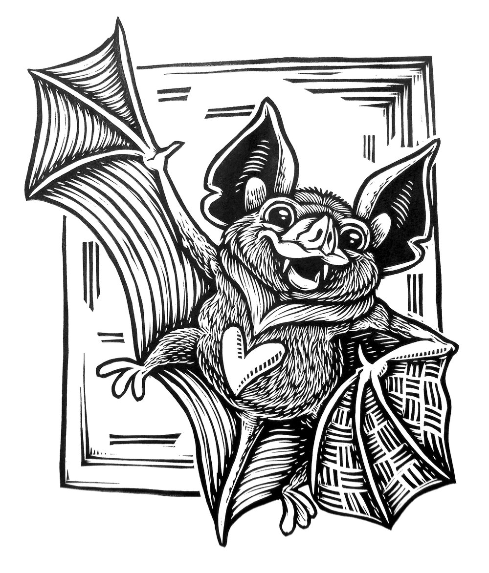 Cute bat T-shirt  (B2) **FREE SHIPPING**