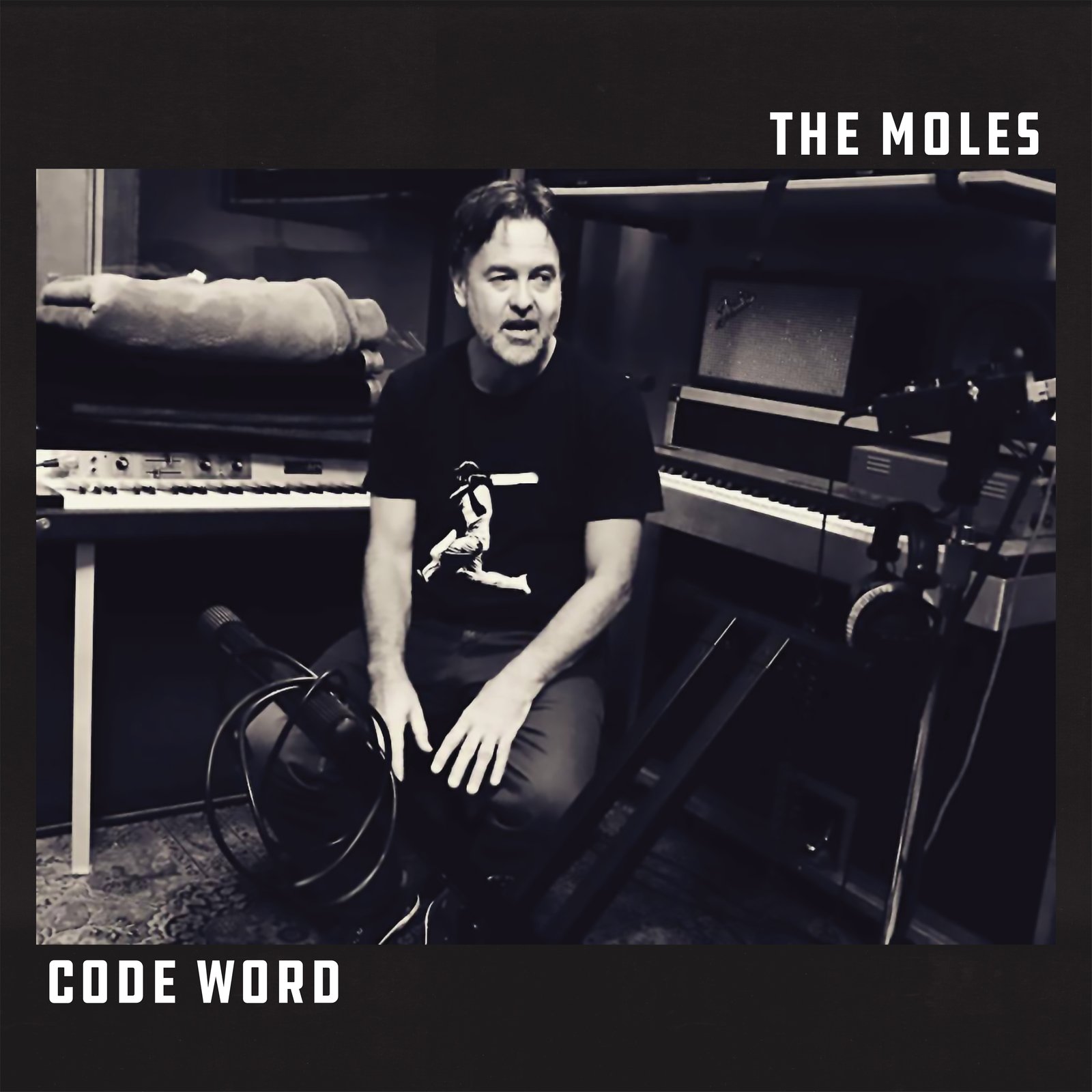 The Moles — Code Word (double LP) | Super Secret Records