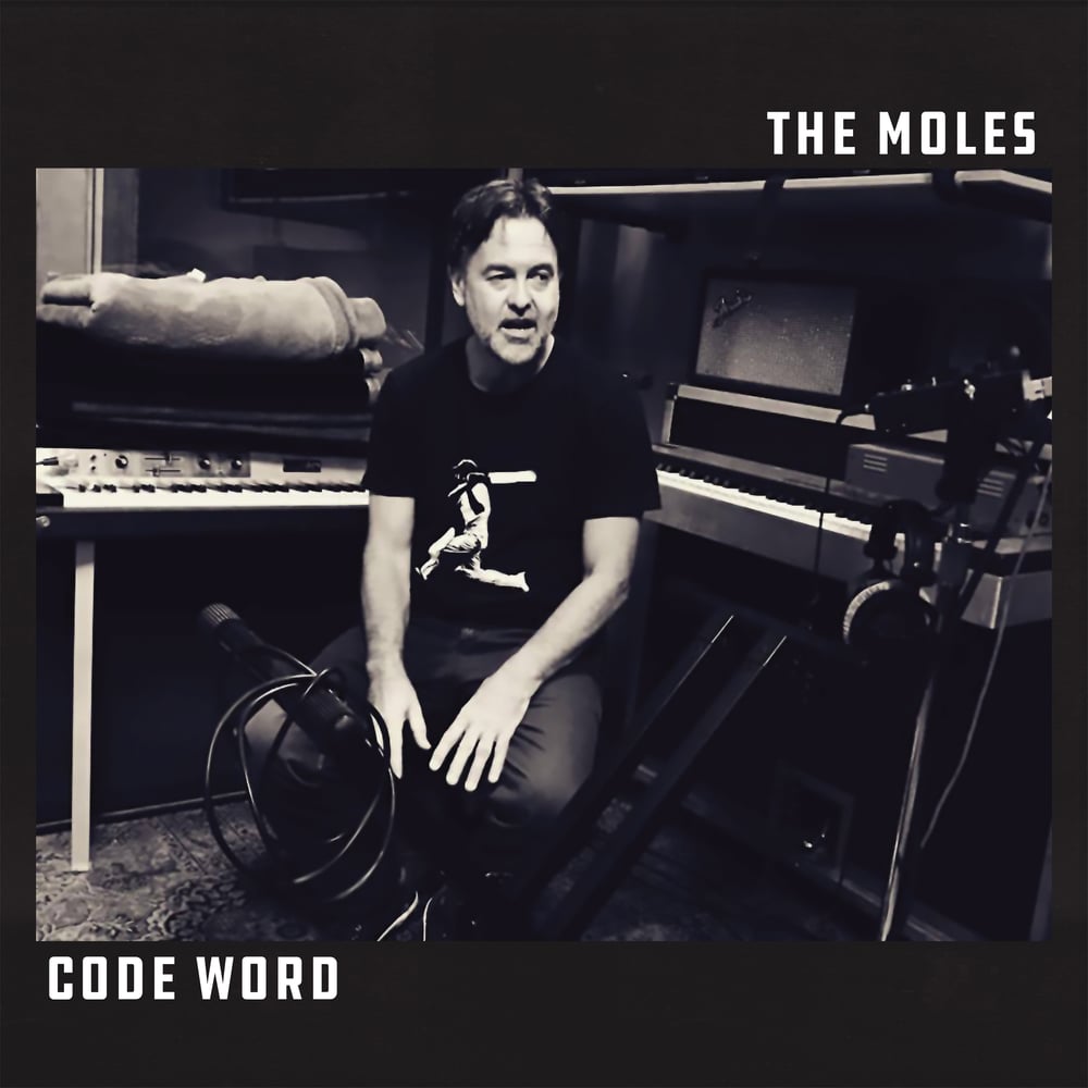 The Moles — Code Word (double LP)