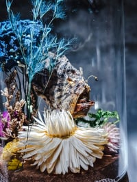 Image 1 of RESERVED XL Japanese Angler Deep Sea RARE