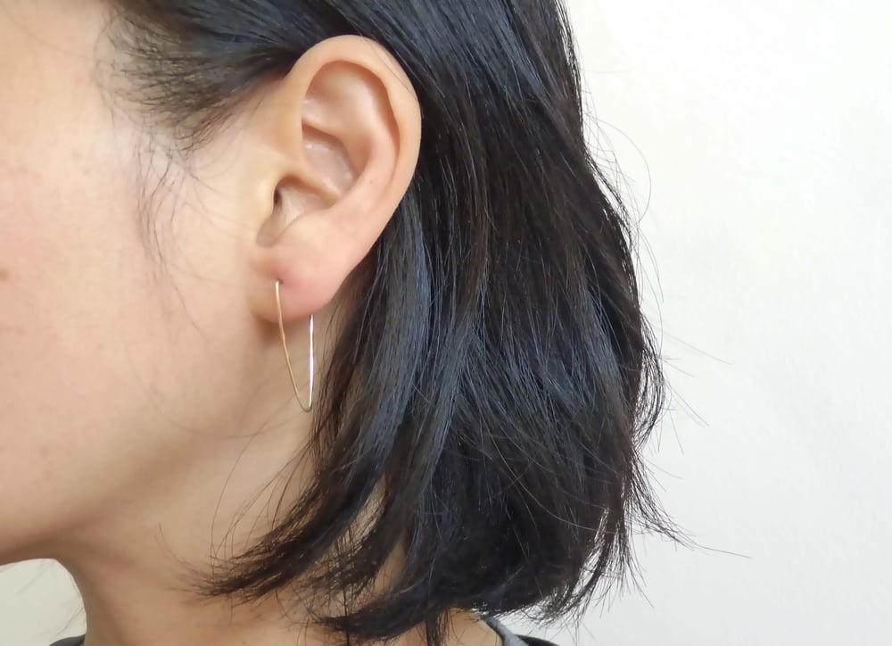 Image of Pike earrings