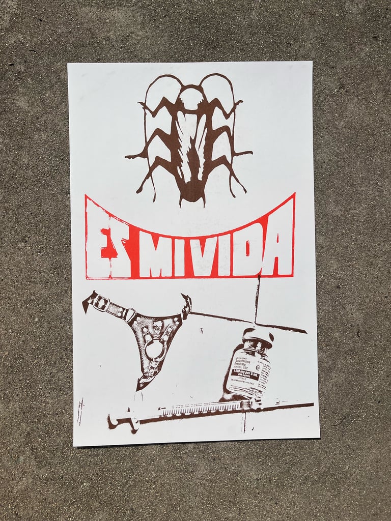 Es Mi Vida version 2