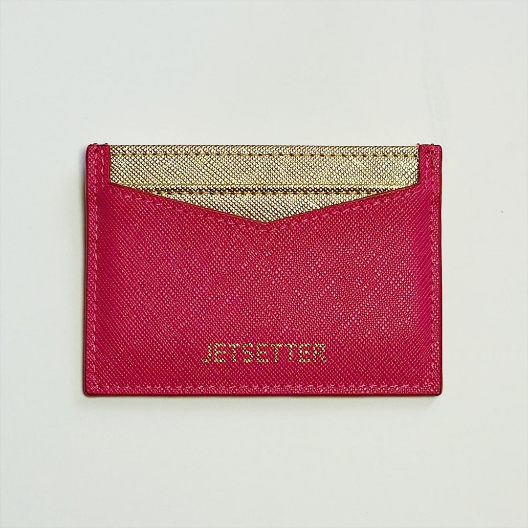 Image of Jetsetter Card Case