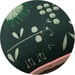 Image of Moonlight Hakea Linen Cushion Cover