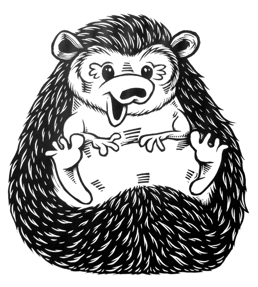 Hedgehog T-shirt (B1) **FREE SHIPPING**