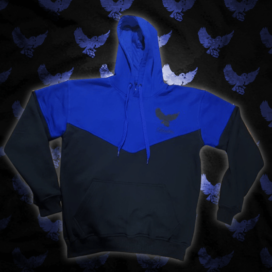 Image of Black/Blue Cut & Sew Birdies Hoodie