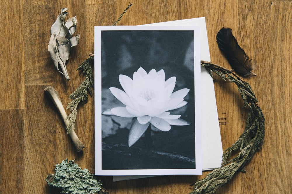 Image of lotus flower greeting card