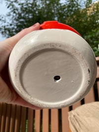 Image 3 of Blue Echeveria in Mushroom Pot