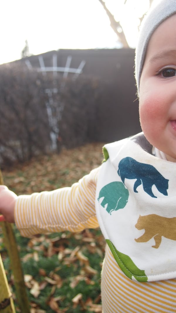 Image of Multi Bear Hike Drool Bib