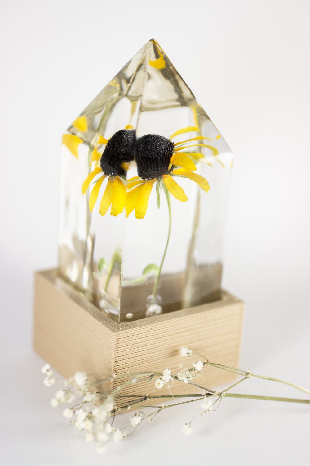 Image of Black-Eyed Susan (Rudbeckia hirta) - Floral Prism Nightlight #2