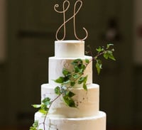 Image 1 of Initial Cake Topper