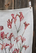 Kangaroo Paw Dusky Rose Linen Tea Towel