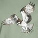 Image of Osprey t-shirt