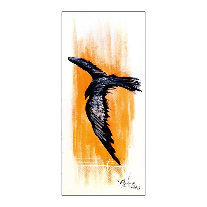 Image of Urban Crow 01