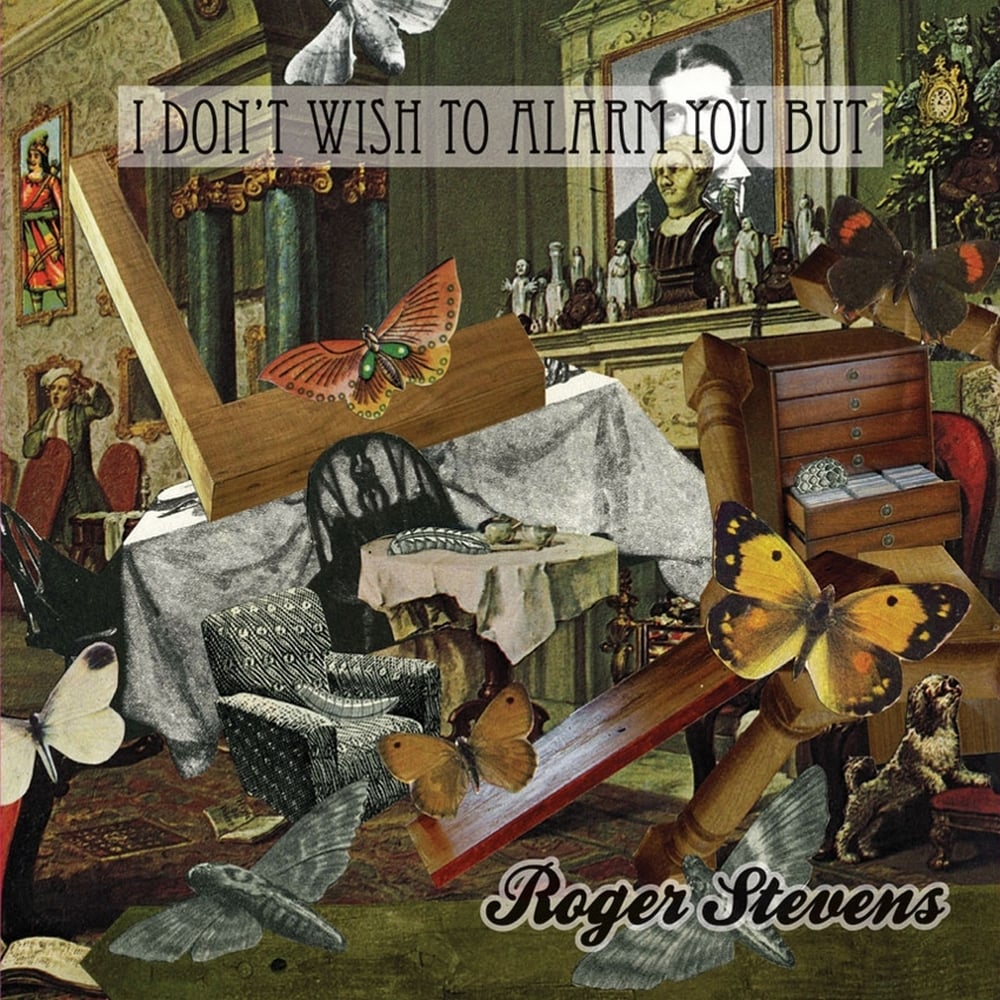 Image of I Don't Wish To Alarm You But... Roger Stevens
