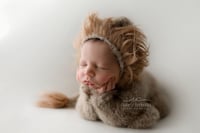 Image 3 of Furry Little Lion Cub